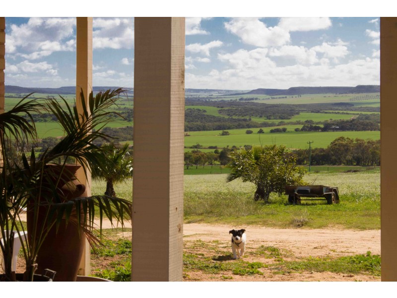 1626 (Lot 123) Chapman Valley Road, Narra Tarra WA 6532