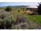 1626 (Lot 123) Chapman Valley Road, Narra Tarra WA 6532
