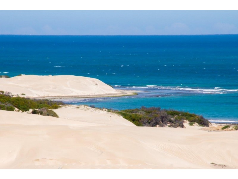 19 Wallabi Drive, Wandina WA 6530