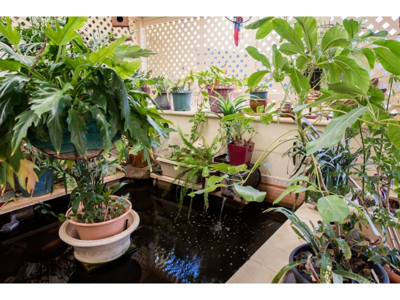 42 Waterfront Circle, Drummond Cove WA 6532