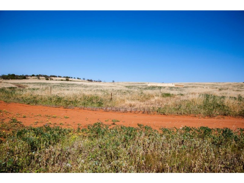 56 King Street, Isseka WA 6535