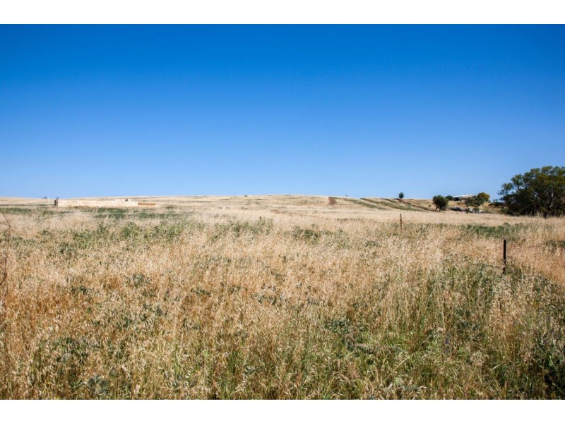 56 King Street, Isseka WA 6535