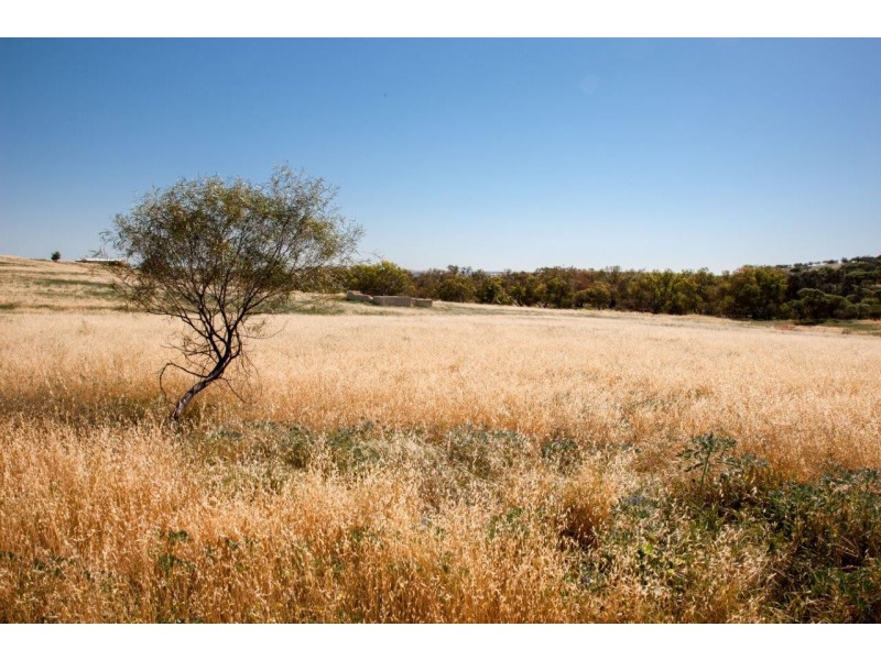 56 King Street, Isseka WA 6535