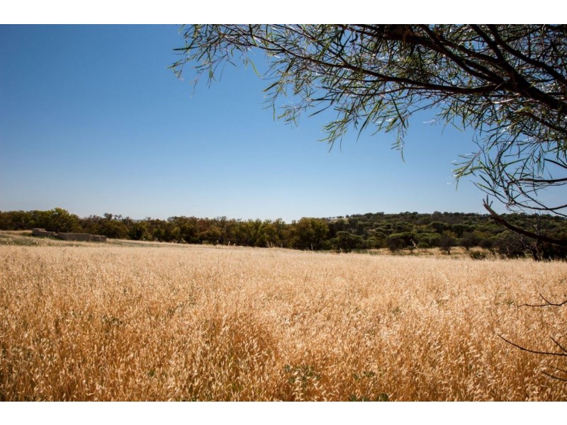 56 King Street, Isseka WA 6535