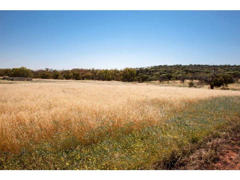 56 King Street, Isseka WA 6535