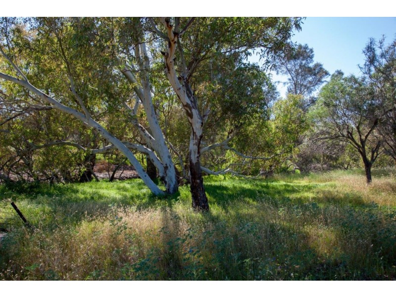 56 King Street, Isseka WA 6535