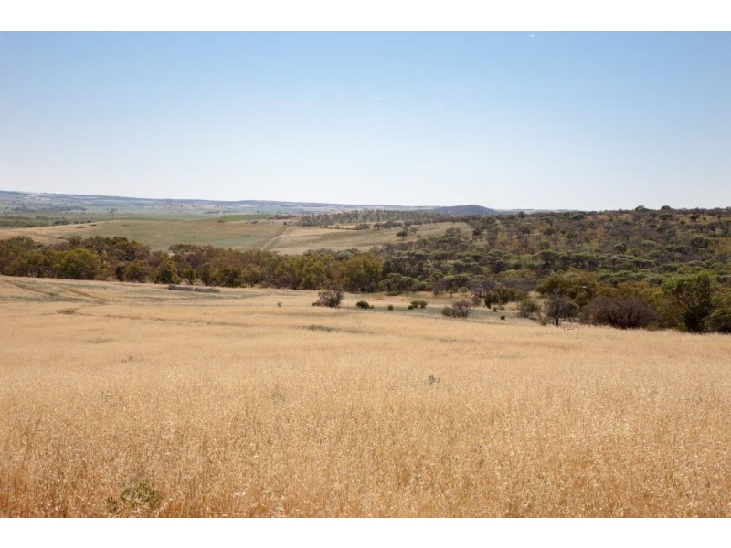 56 King Street, Isseka WA 6535