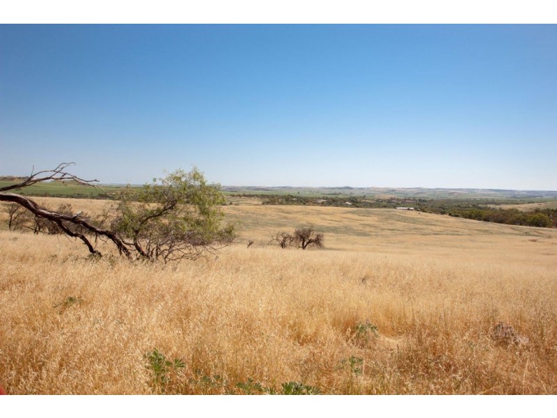 56 King Street, Isseka WA 6535