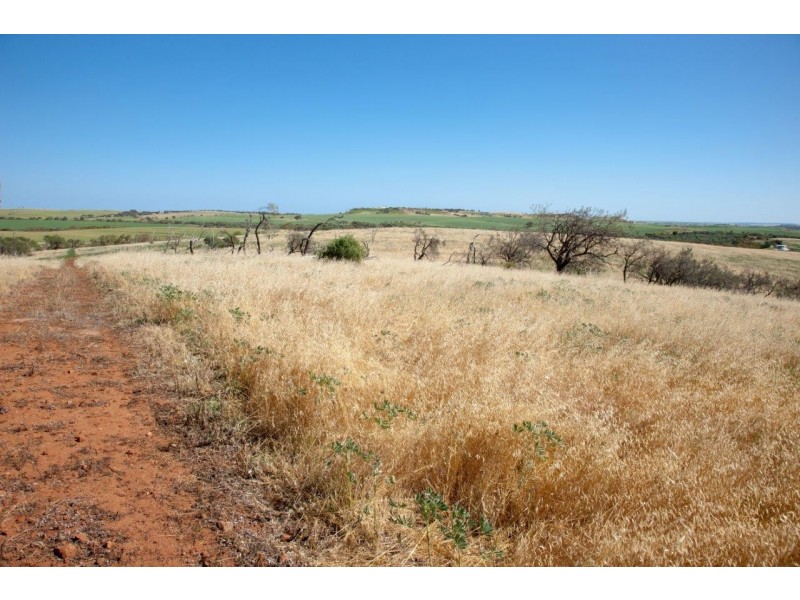 56 King Street, Isseka WA 6535