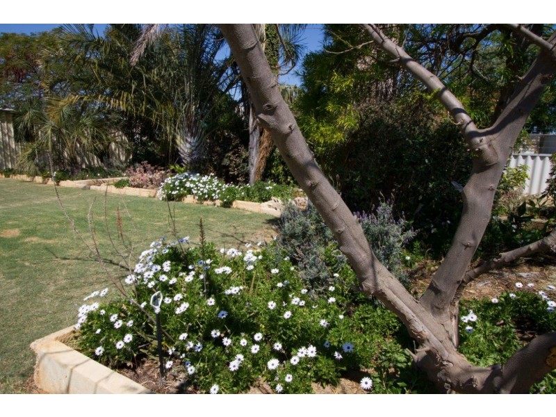 5 Begonia Court, Strathalbyn WA 6530