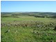 Lot 72 Murphy Yetna Road, Nanson WA 6532