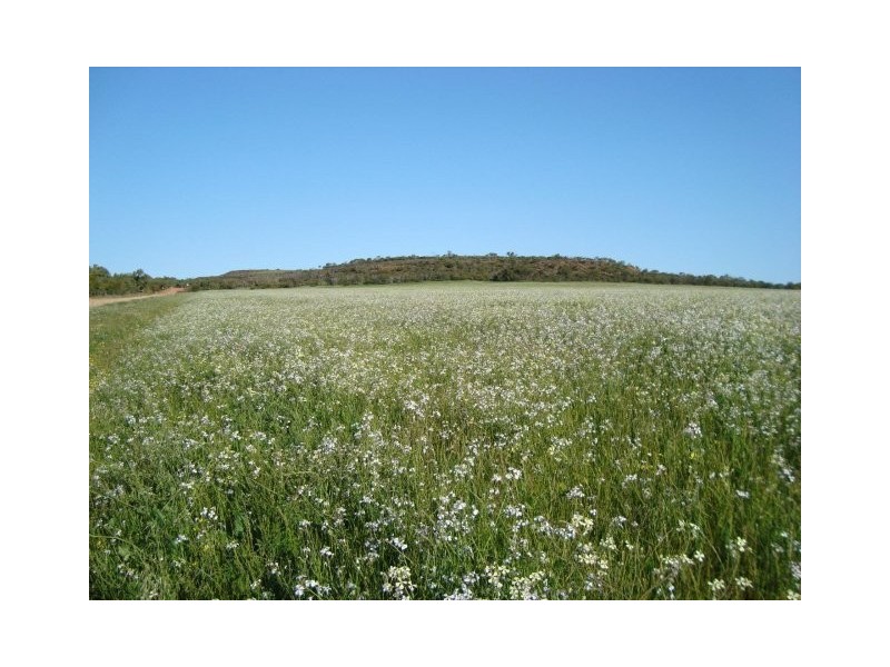 Lot 72 Murphy Yetna Road, Nanson WA 6532