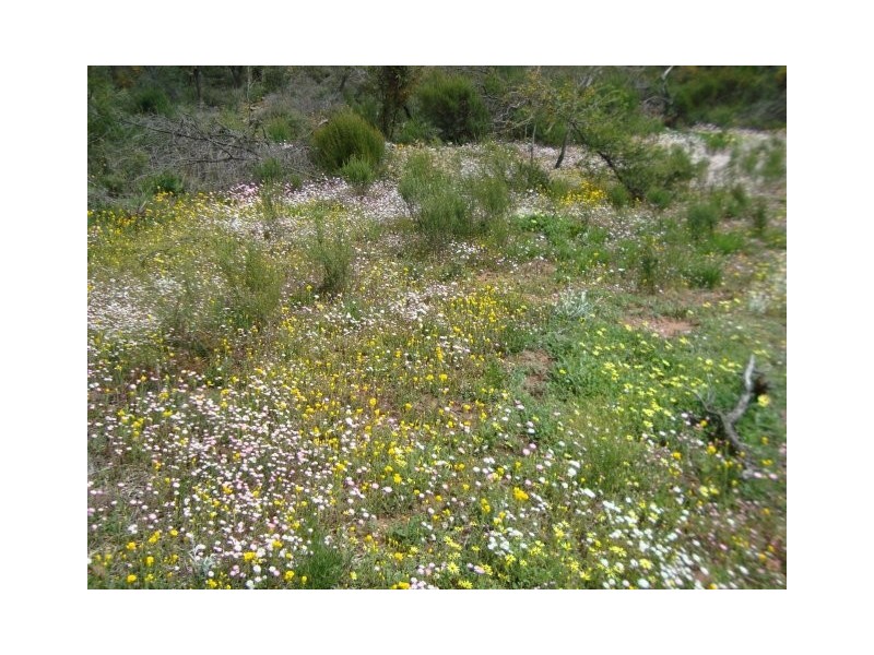 Lot 72 Murphy Yetna Road, Nanson WA 6532