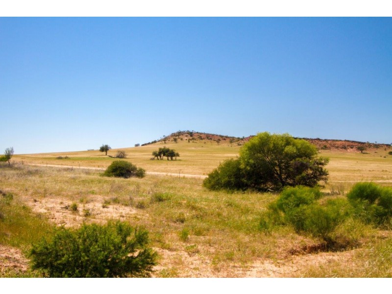 Lot 72 Murphy Yetna Road, Nanson WA 6532