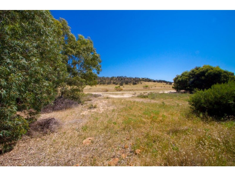 Lot 72 Murphy Yetna Road, Nanson WA 6532