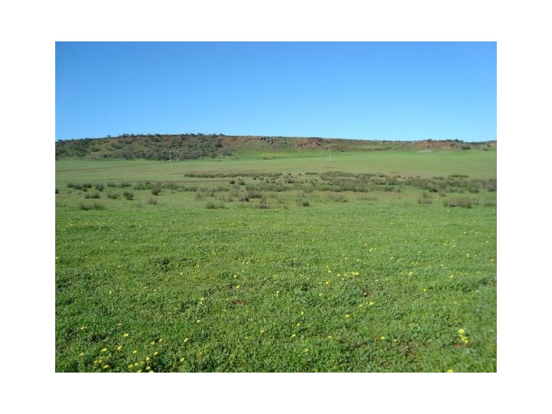 Lot 72 Murphy Yetna Road, Nanson WA 6532