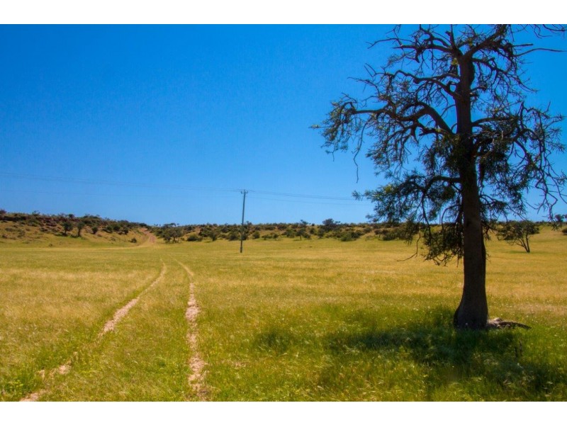 Lot 72 Murphy Yetna Road, Nanson WA 6532