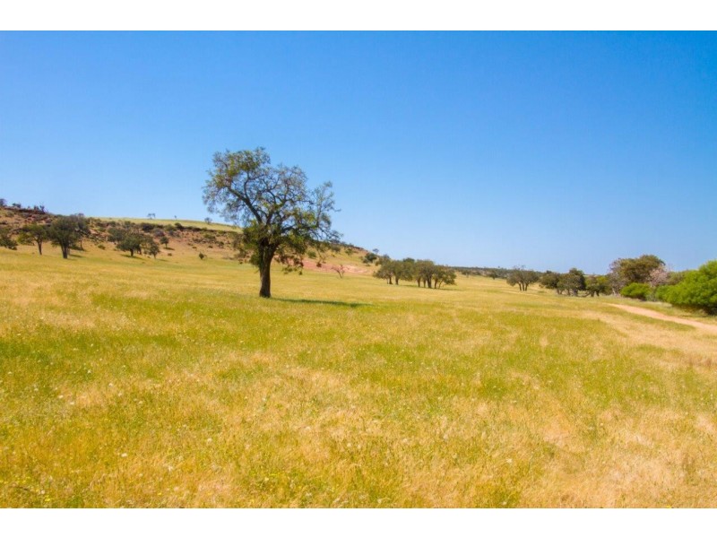 Lot 72 Murphy Yetna Road, Nanson WA 6532