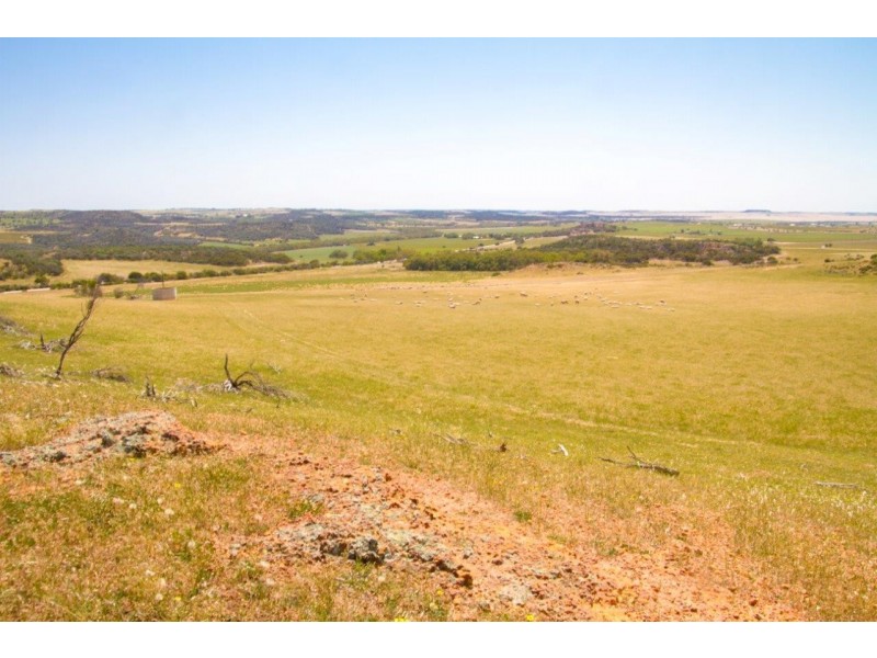 Lot 72 Murphy Yetna Road, Nanson WA 6532