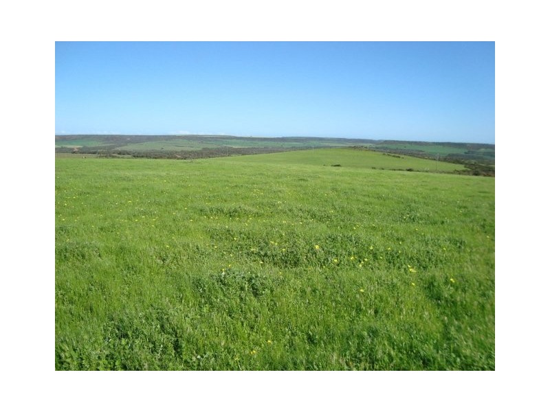 Lot 72 Murphy Yetna Road, Nanson WA 6532