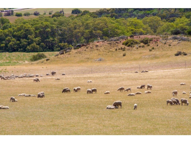 Lot 72 Murphy Yetna Road, Nanson WA 6532