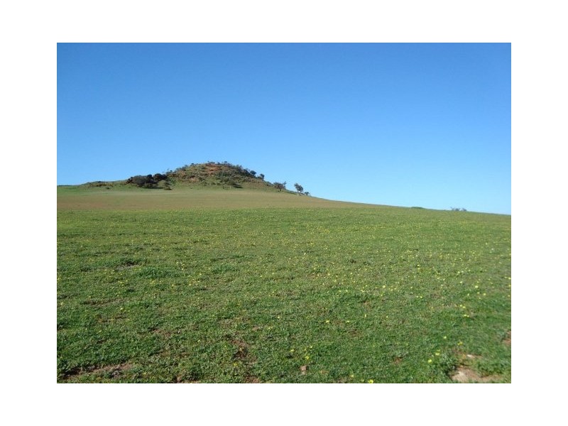 Lot 72 Murphy Yetna Road, Nanson WA 6532