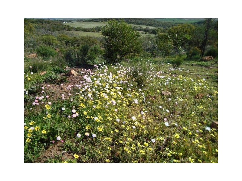 Lot 72 Murphy Yetna Road, Nanson WA 6532