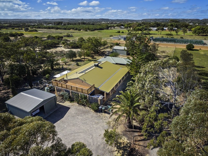 19 Adelaide Street, Waggrakine WA 6530