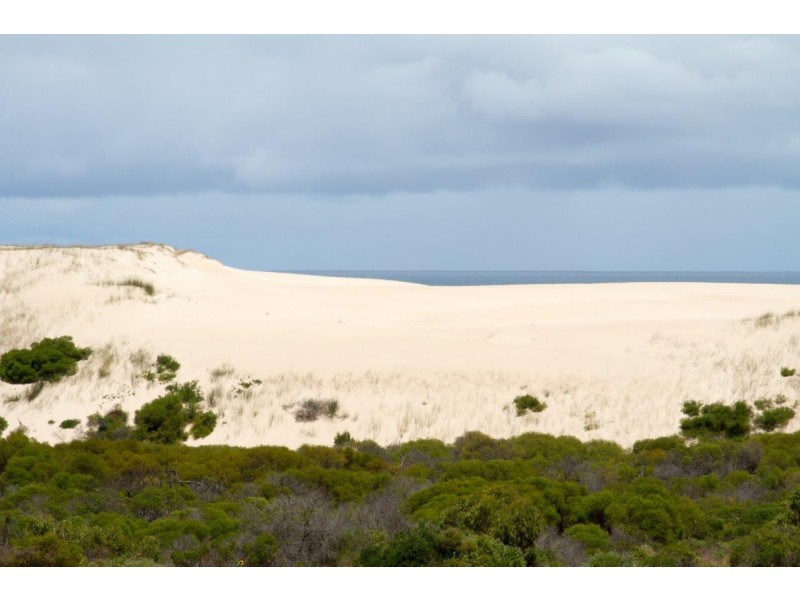 21 Evana Terrace, Wandina WA 6530