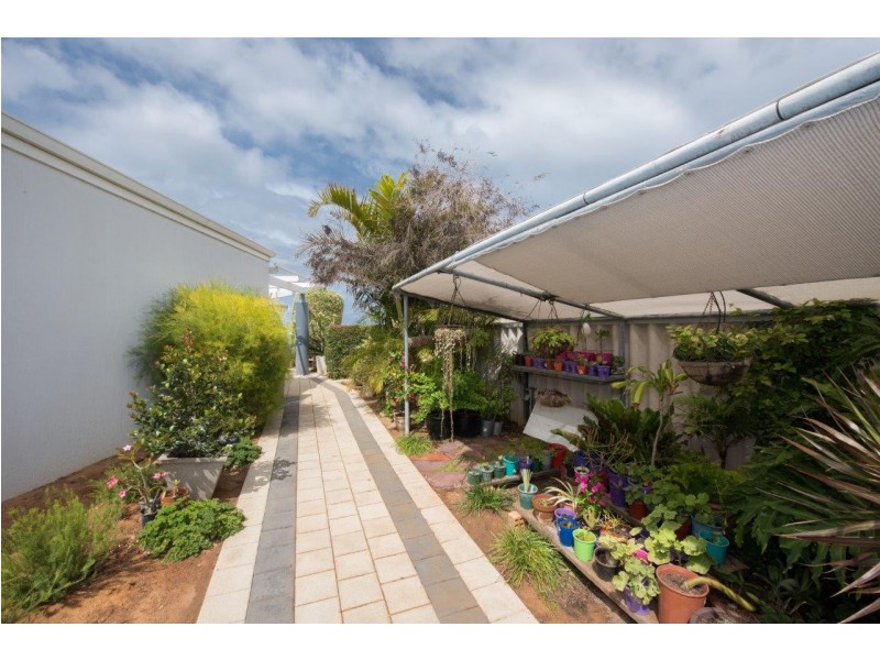 6 Shearwater Close, Wandina WA 6530