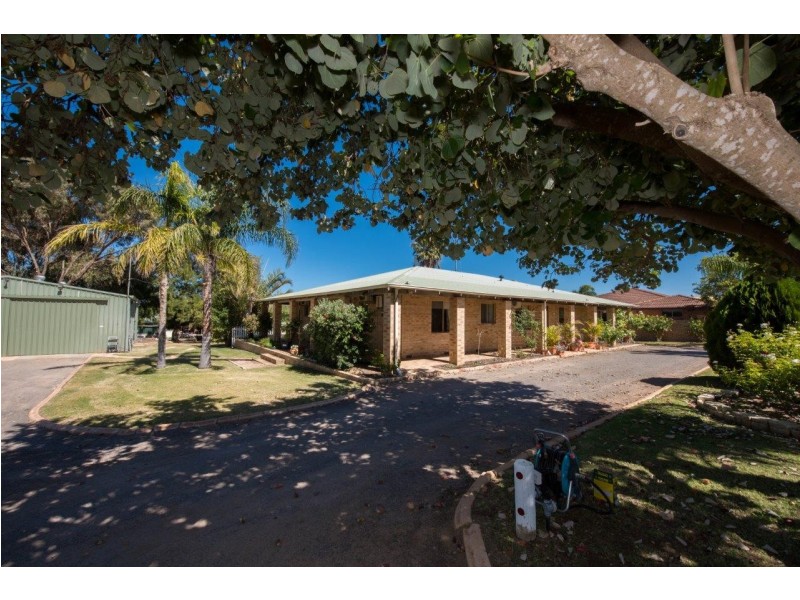 11 Tulloch Drive, Dongara WA 6525