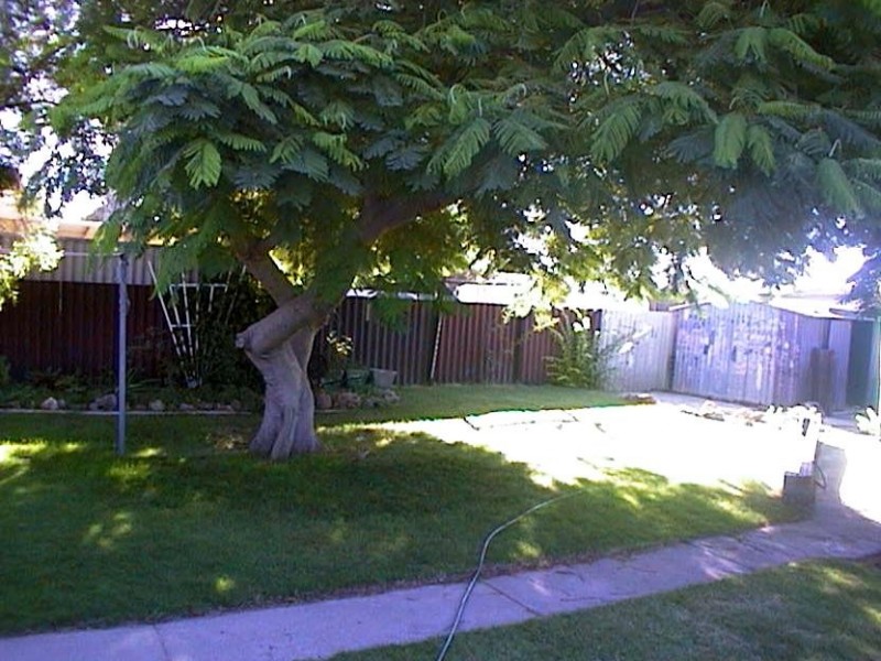 19 Kenny Crescent, Rangeway WA 6530