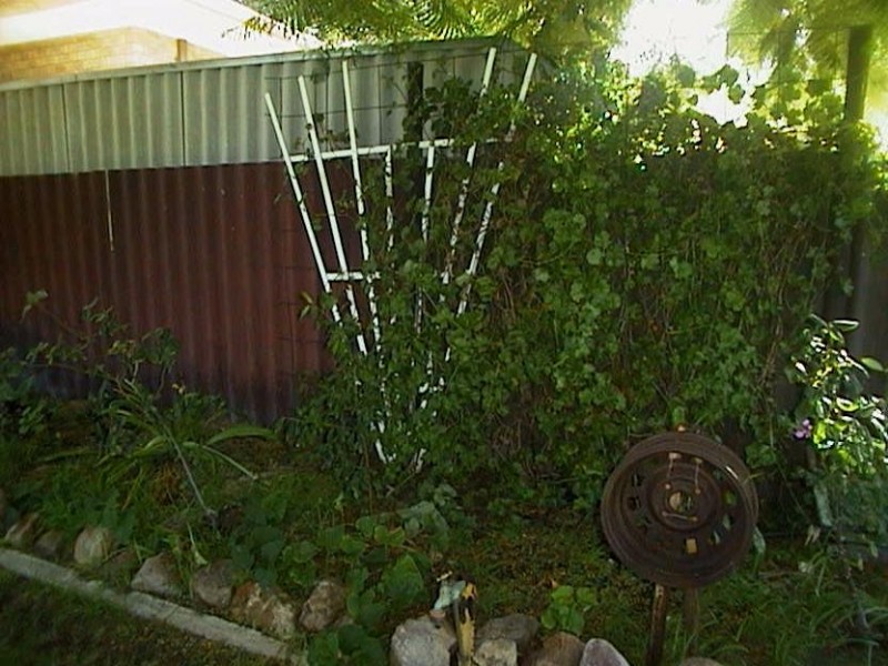 19 Kenny Crescent, Rangeway WA 6530