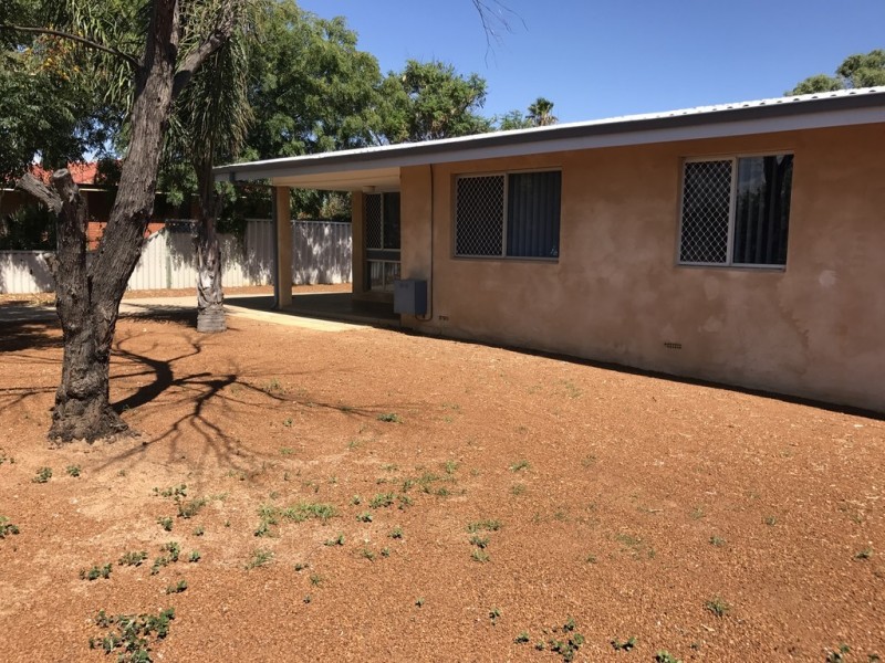 24 Adelaide Street, Waggrakine WA 6530