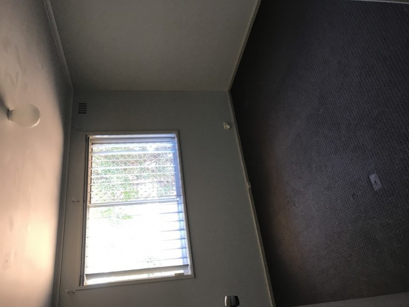 24 Adelaide Street, Waggrakine WA 6530