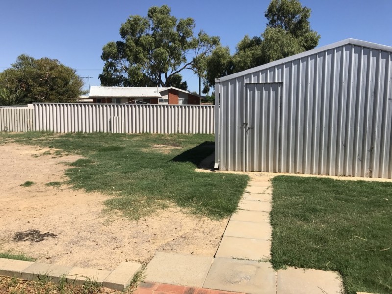 24 Adelaide Street, Waggrakine WA 6530