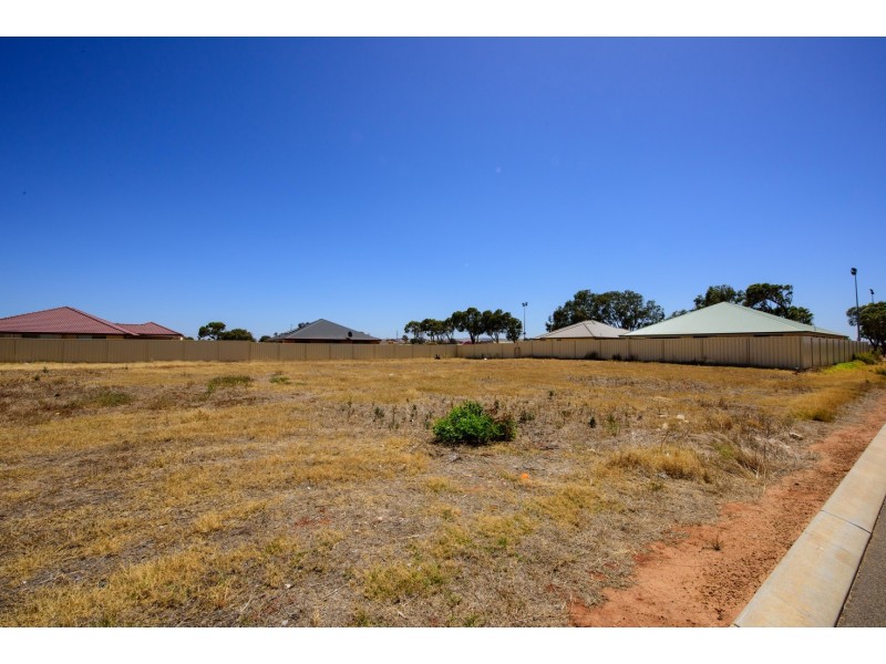 9 Brockagh Drive, Utakarra WA 6530