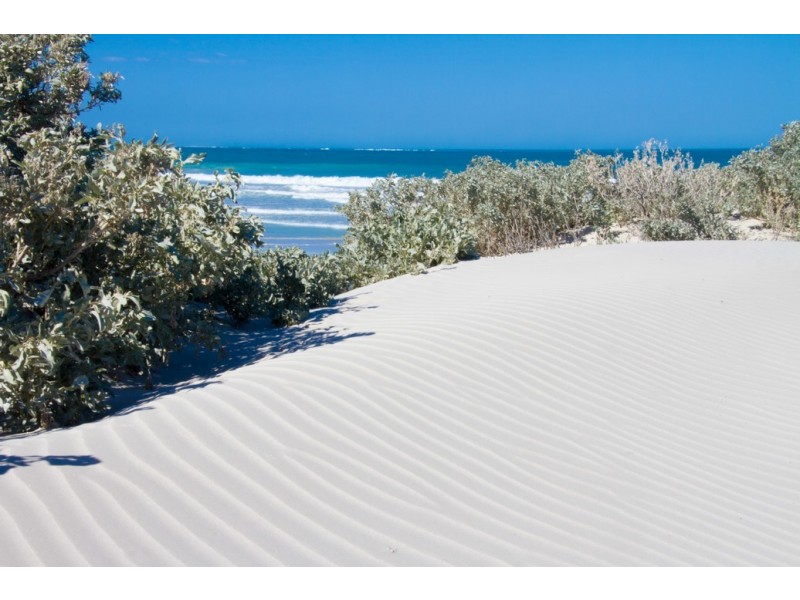 15/239 Willcock Drive, Mahomets Flats WA 6530