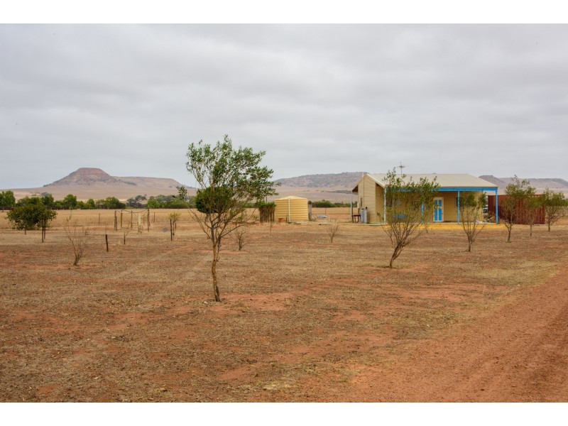 19 Hill River Way, Moonyoonooka WA 6532