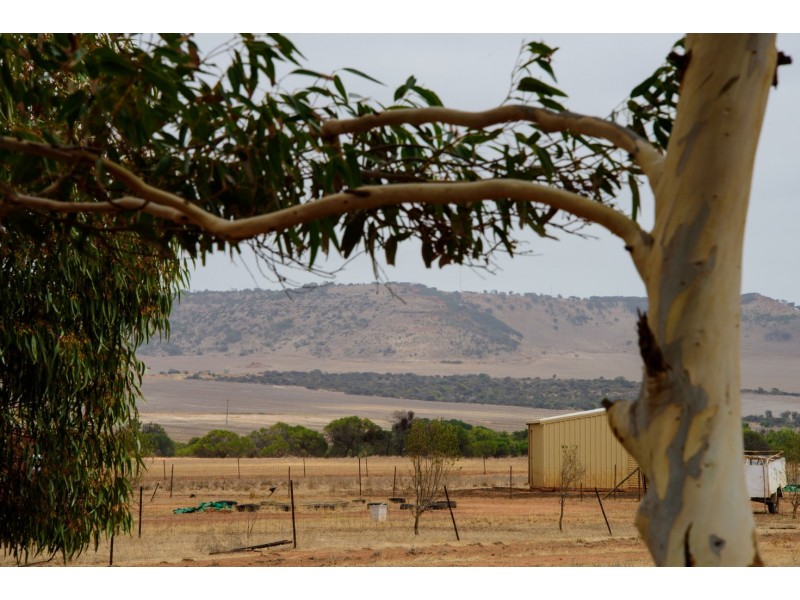 19 Hill River Way, Moonyoonooka WA 6532