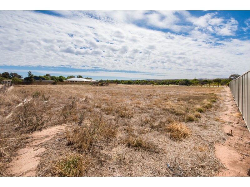 443 Alexander Drive, Glenfield WA 6532