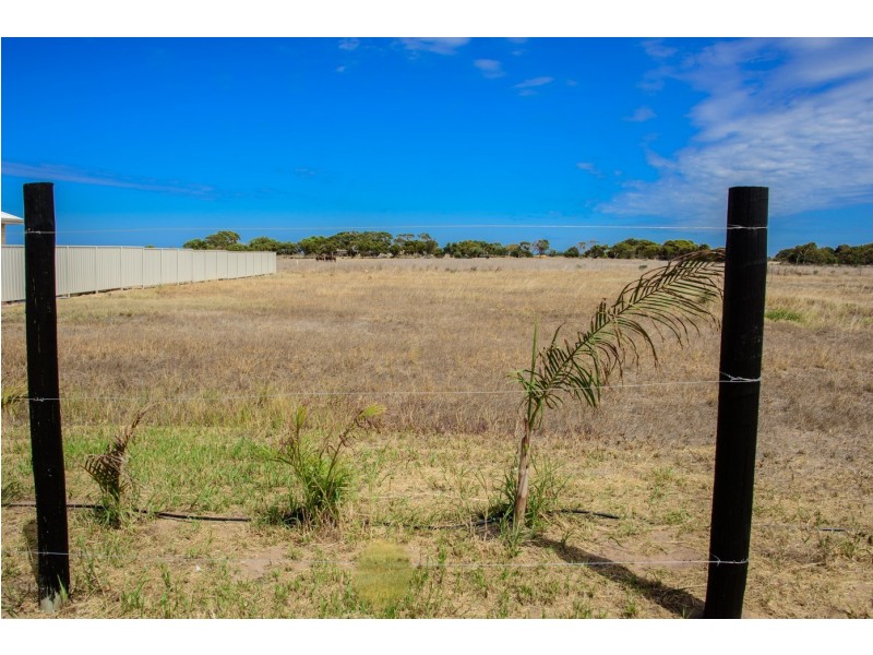 443 Alexander Drive, Glenfield WA 6532