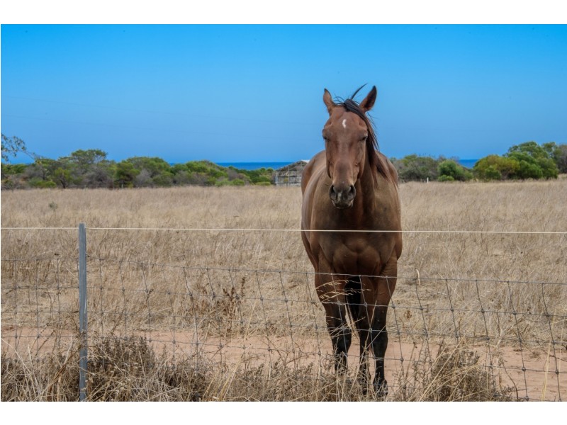 443 Alexander Drive, Glenfield WA 6532