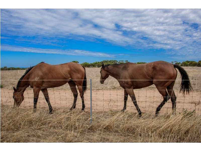 443 Alexander Drive, Glenfield WA 6532