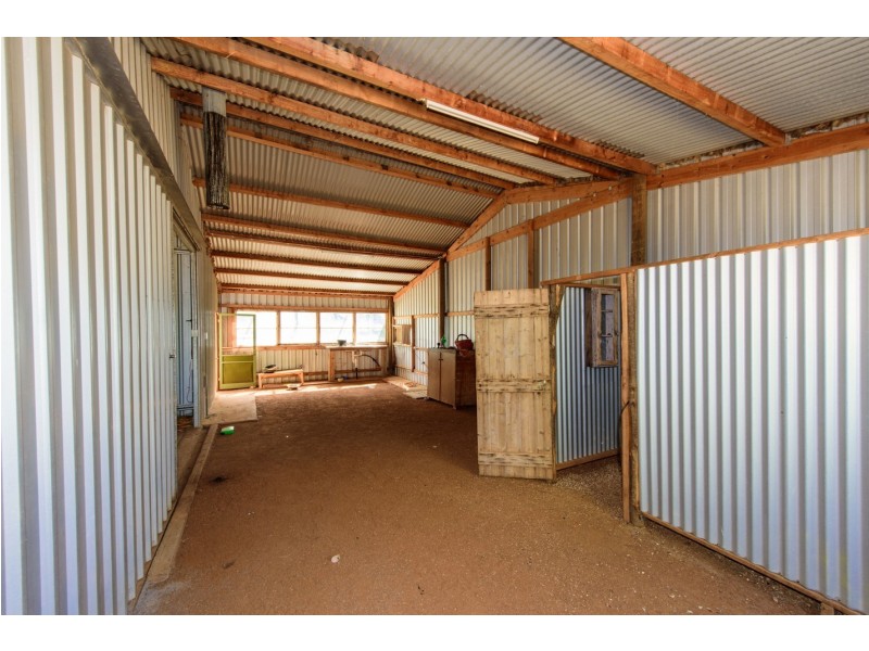 230 Ahern Place, Howatharra WA 6532