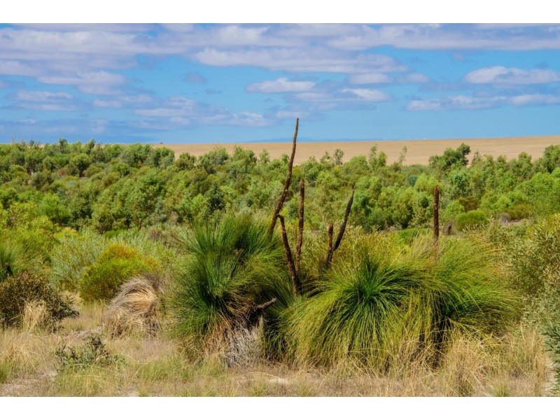 230 Ahern Place, Howatharra WA 6532