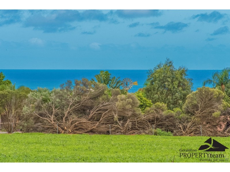 100 Arnold Road, Waggrakine WA 6530