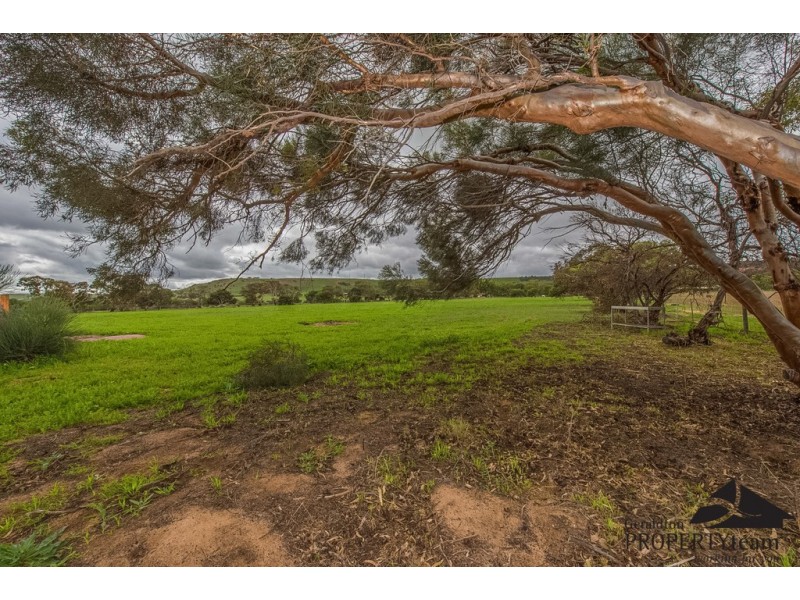100 Arnold Road, Waggrakine WA 6530