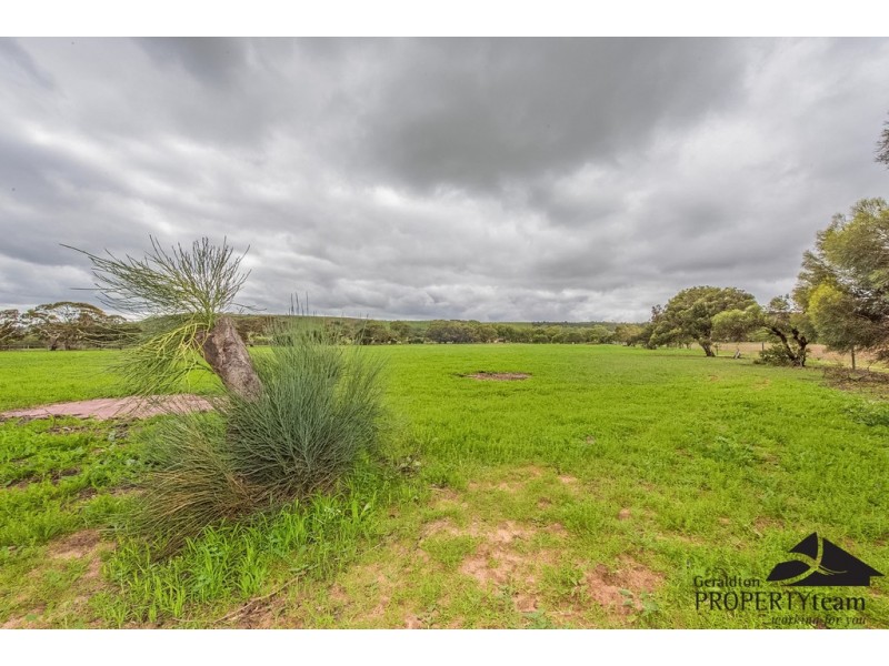 100 Arnold Road, Waggrakine WA 6530