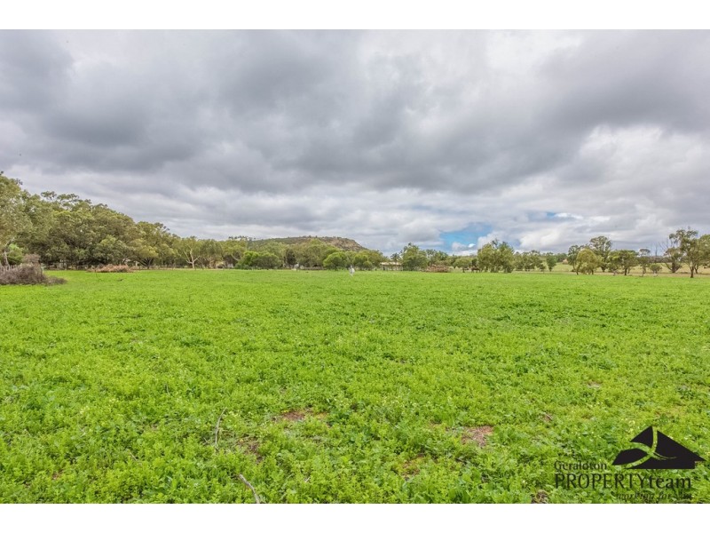 100 Arnold Road, Waggrakine WA 6530